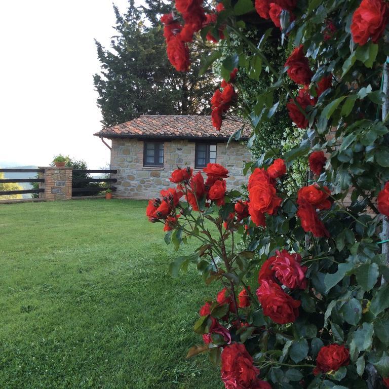 Agriturismo La Bicocca - Apt. "Il Leccio" Castel Rigone 客房 照片